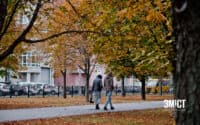 Штормове попередження: на Полтавщині прогнозують сильні пориви вітру