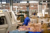 Понад 70 мільйонів євро хочуть вкласти у будівництво нового заводу на Полтавщині