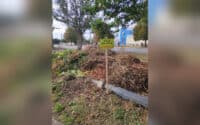 У Полтаві облаштували майданчики для складання спиляних гілок: адреси