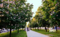 «Алея Слави» – це не інсталяція. Відкритий лист родин загиблих полтавців