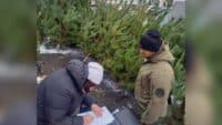 На Полтавщині виявили людей, які торгували незаконно зрубаними ялинками
