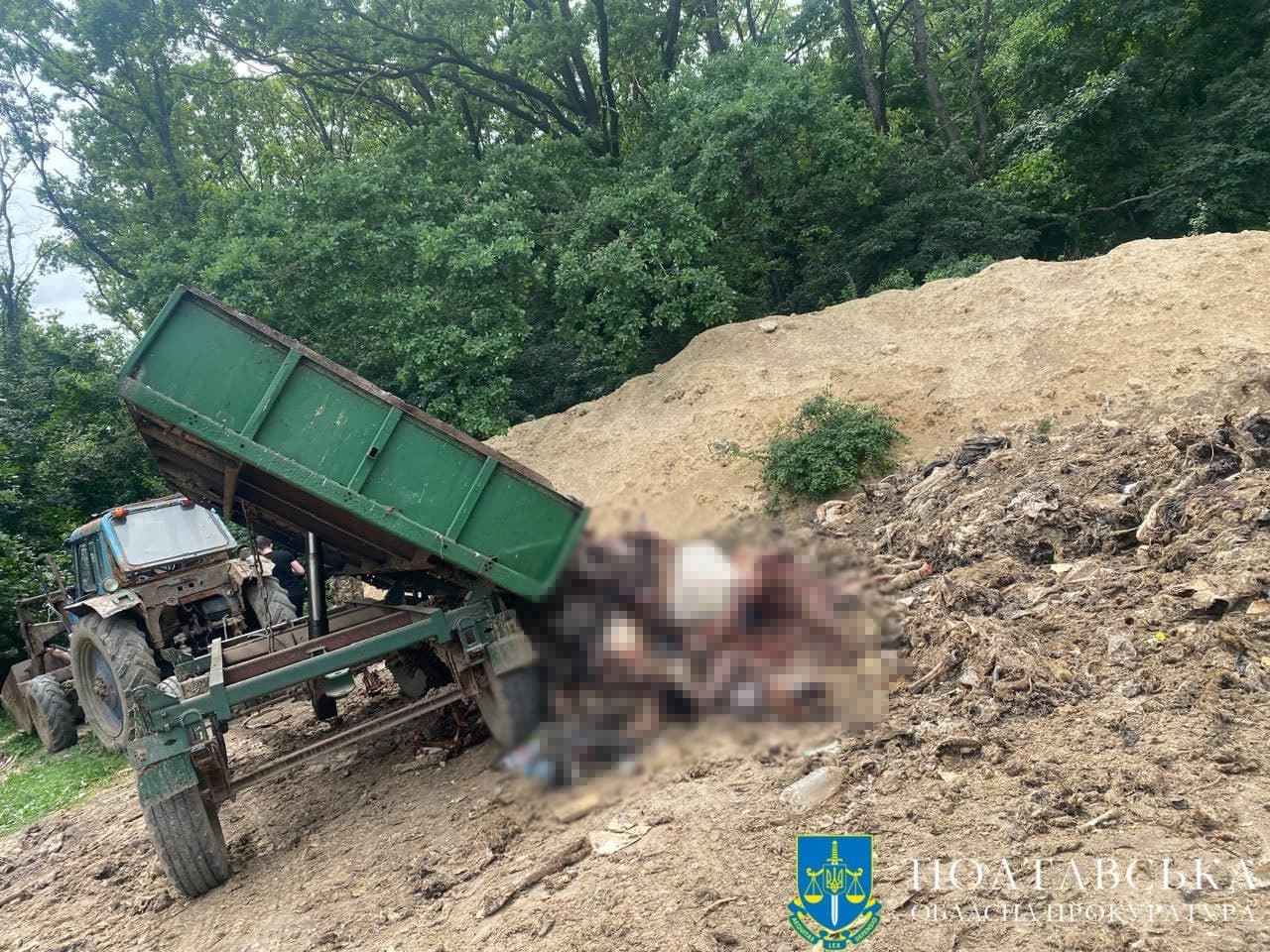 Судитимуть директора підприємства, яке могло скидати рештки худоби під Полтавою