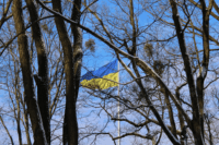 Пориви західного вітру: на Полтавщині попередили про небезпеку