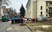 У мільйон гривень оцінили спилювання аварійних тополь в Полтаві
