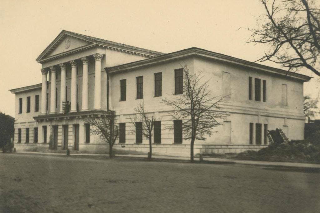 Дерева