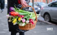 Квіти з користю: ЗМІСТ запускає корпоративні передзамовлення «Бандерівських тюльпанів»