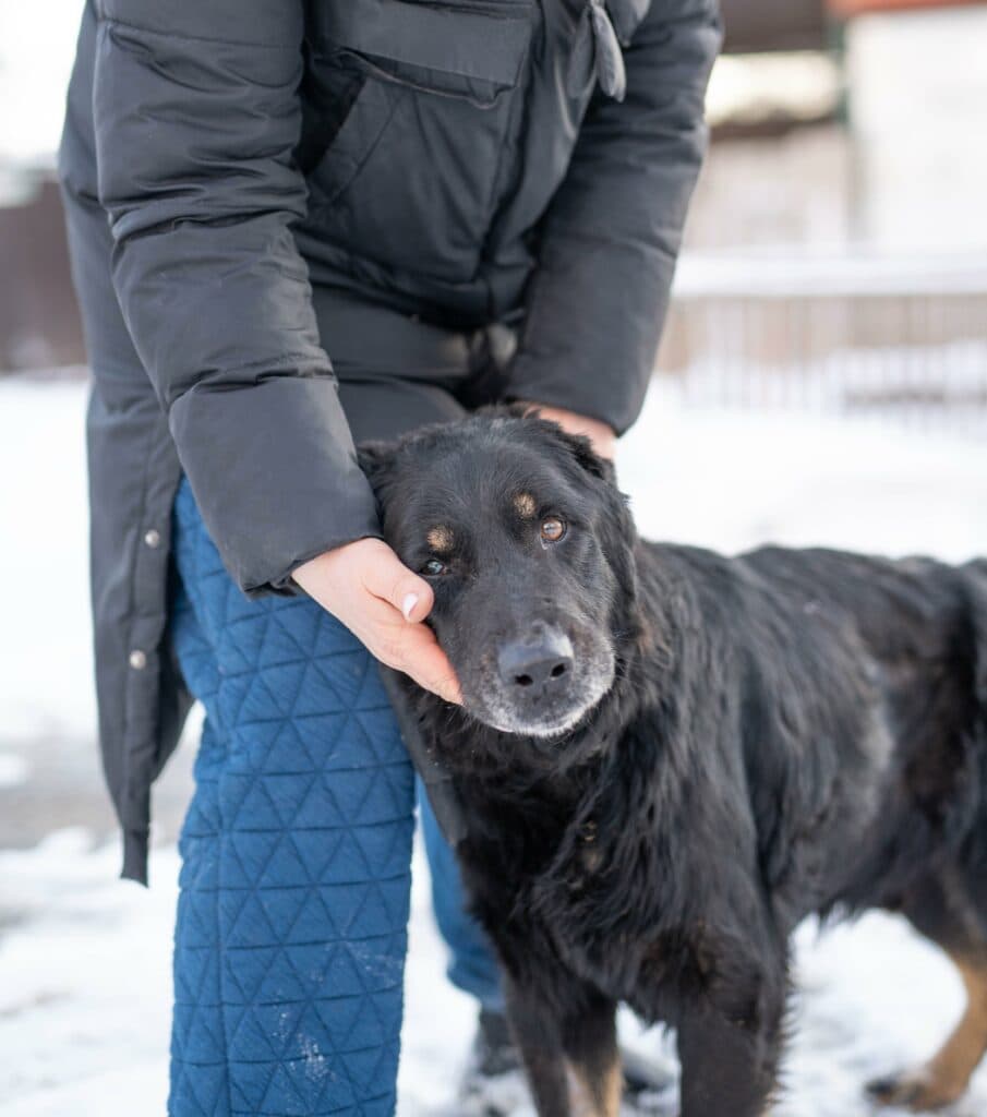 Насилля