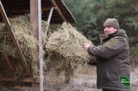 Ветеран з Полтавщини охороняє дику природу: історія повернення воїна до лісівництва