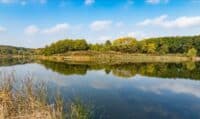 Ставки на Рибцях у Полтаві здаватимуть в оренду під зони відпочинку