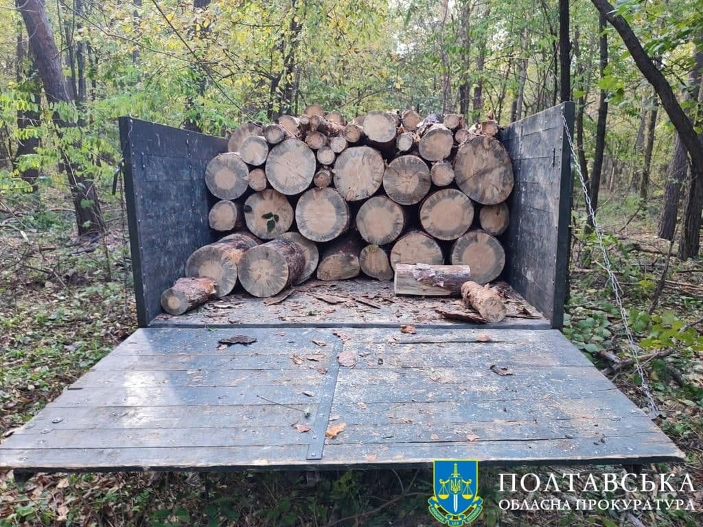 Ілюстративне фото. Вирубування дерев на Полтавщині