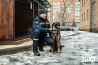 На Полтавщині планують розвивати кінологічну службу для рятувальних операцій