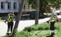 Хто у Полтаві відповідальний за покіс трави на різних територіях