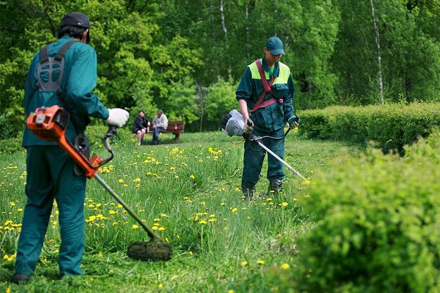 Ілюстративне фото