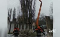 Тополі у Полтаві стали загрозою для містян