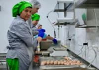 Фабрику-кухню за 5 мільйонів євро хочуть будувати на Огнівці