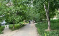 Бульвар на Огнівці планують внести до переліку зелених зон