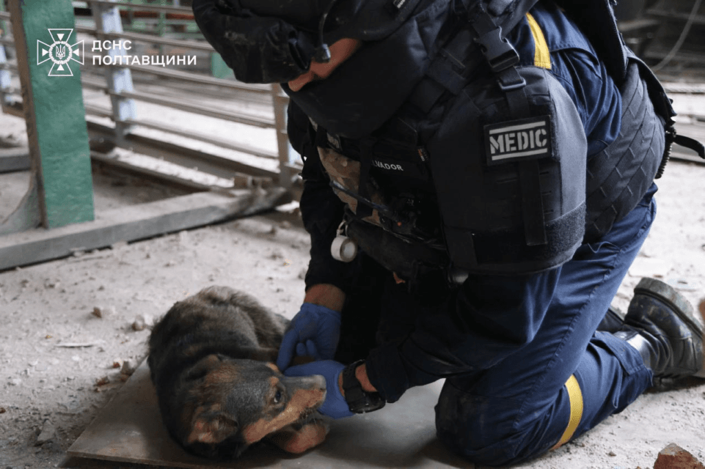 Рятувальники ліквідують наслдки обстрілу