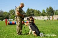 На Полтавщині службові собаки допомагають ветеранам
