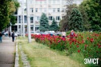 У Полтаві очікують грозу: в області виникли перші аварійні відключення світла