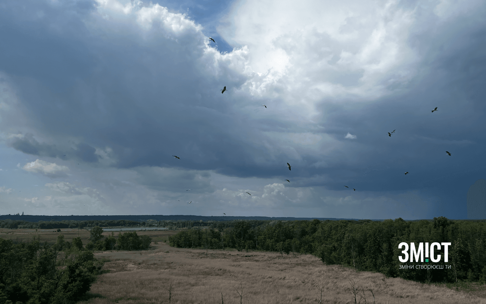 Ілюстративне фото