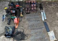 Судитимуть групу «чорних» лісорубів Полтавщини