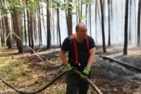 Лісові пожежі охоплюють Полтавщину слідом за торф’яними: що відомо