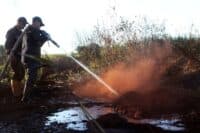 На Полтавщині третю добу гасять пожежі на торфовищах