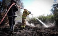 На Полтавщині ліквідували масштабну пожежу на торфʼянику