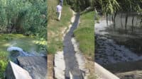 Роки скарг на сморід. «Полтававодоканал» зобовʼязали відшкодувати збитки за забруднення річки