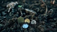 На Полтавщині надають пільги на сплату земельного податку