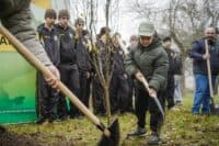 На Полтавщині заліснили понад 2,5 тисячі лісових ділянок
