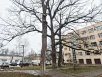Територію за Будинком генерал-губернатора в Полтаві визнали сквером