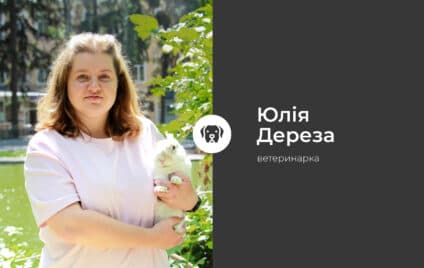 Як зрозуміти, що тварина захворіла? Головні тривожні сигнали