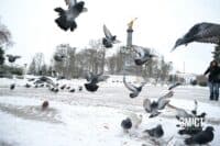 Полтавщина готується до -20°C: морози диктуватимуть графіки відключень світла