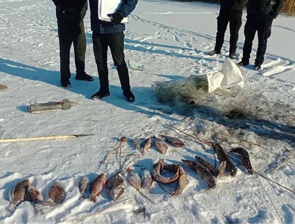 Незаконний вилов риби