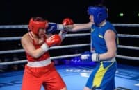 Понад 80 спортсменів з Полтавщини отримали звання майстра спорту 