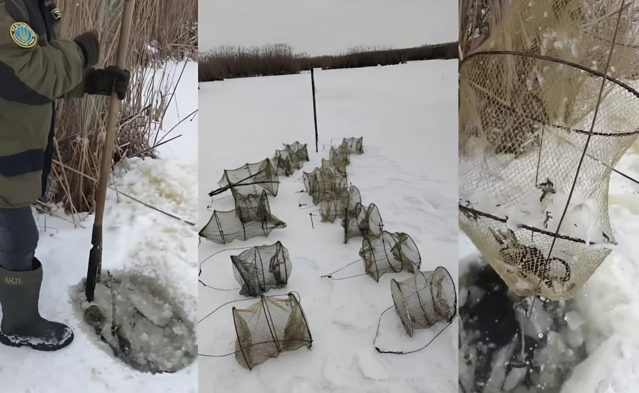 Пошуки браконьєра