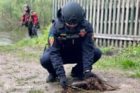 Полтавські рятувальники виконали більше тисячі виїздів на розмінування 