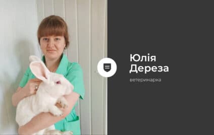 Нові правила для власників тварин: що змінилося з 1 березня 2026 року