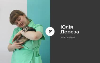 Отруйні рослини у парках і лісах України: що слід знати власникам домашніх тварин