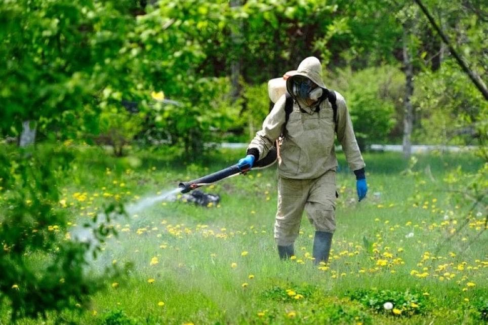 Обробка гарячим туманом проти кліщів