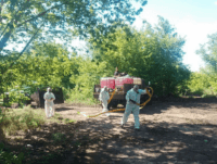 На Полтавщині ліквідували стихійне звалище тваринних решток