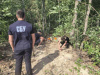 Тисячі пнів замість дерев: у двох районах Полтавщини виявили «чорних лісорубів»