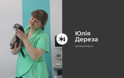 Як допомогти тваринам у спеку