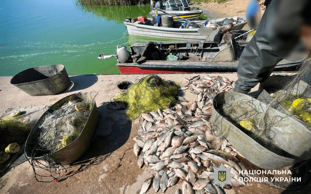 На Кам’янському водосховищі браконьєри виловили...