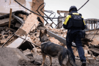 Собак тренуватимуть для пошуку мін на Полтавщині 