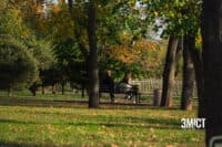 Осінь огорнула Полтаву: фотопрогулянка вуличками міста