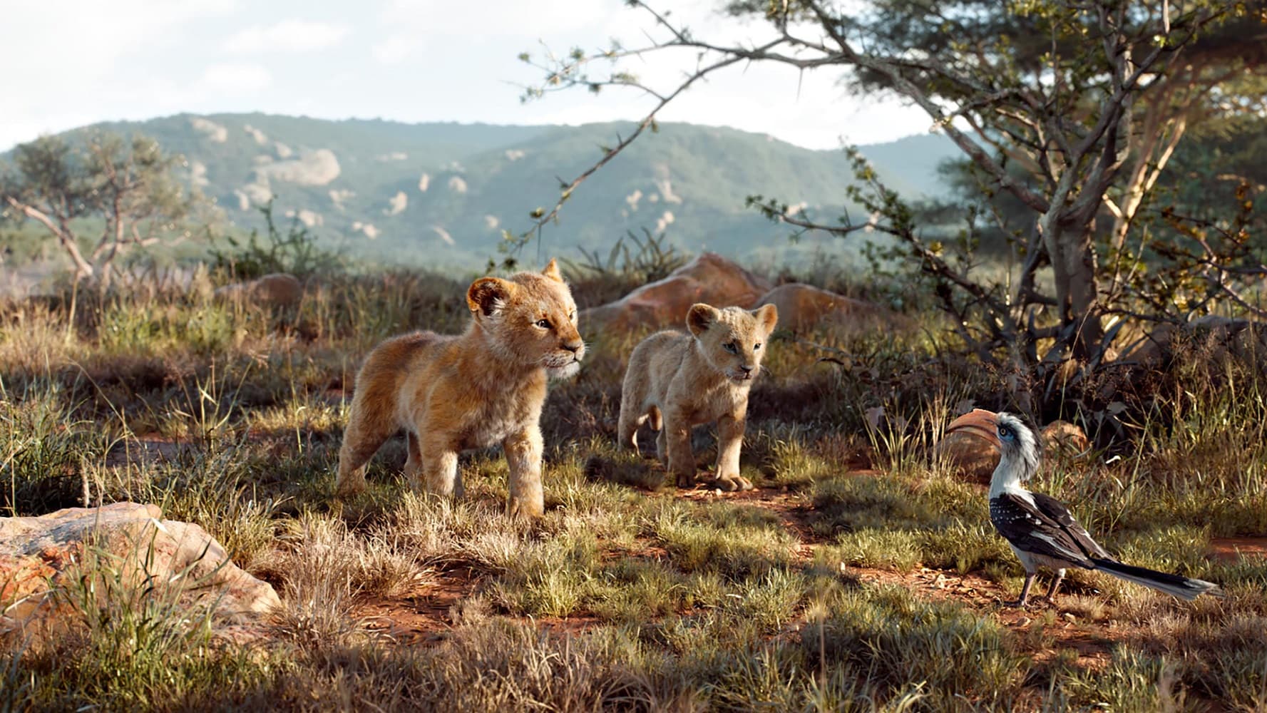 THE LION KING