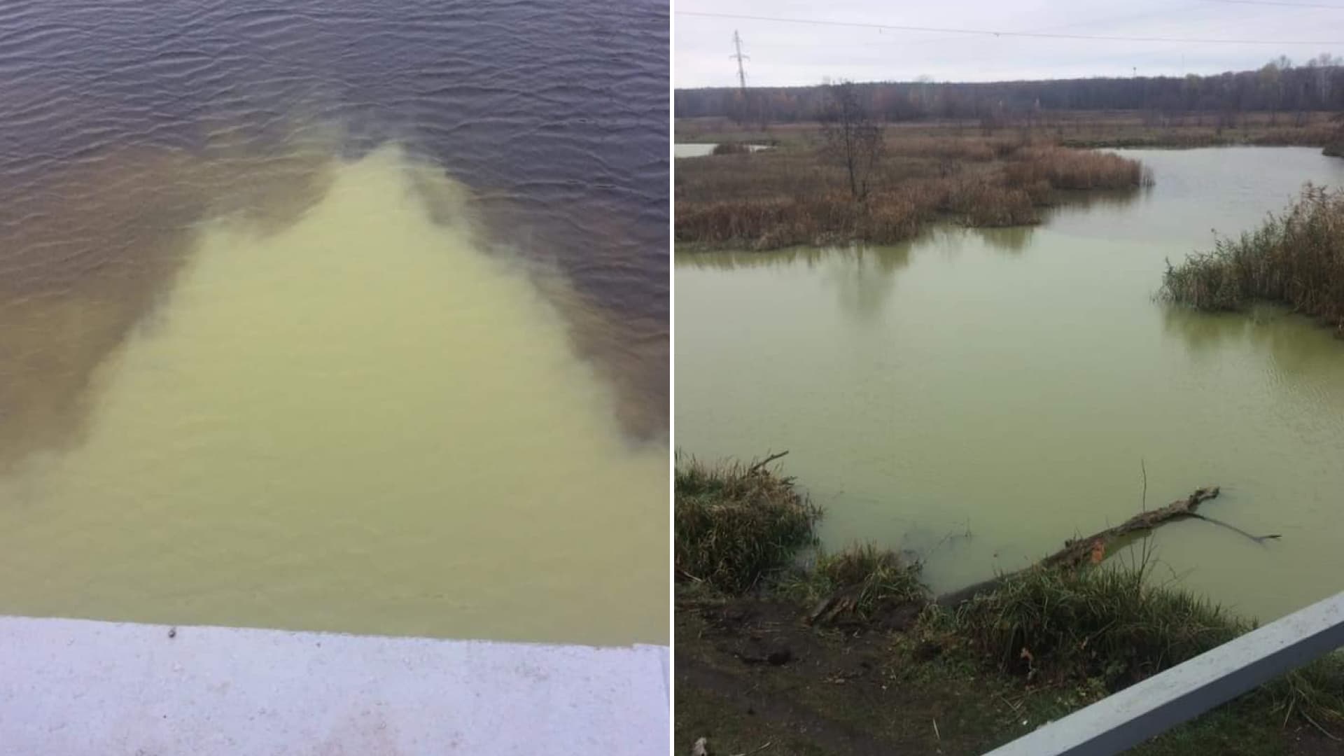 Забруднена Річка