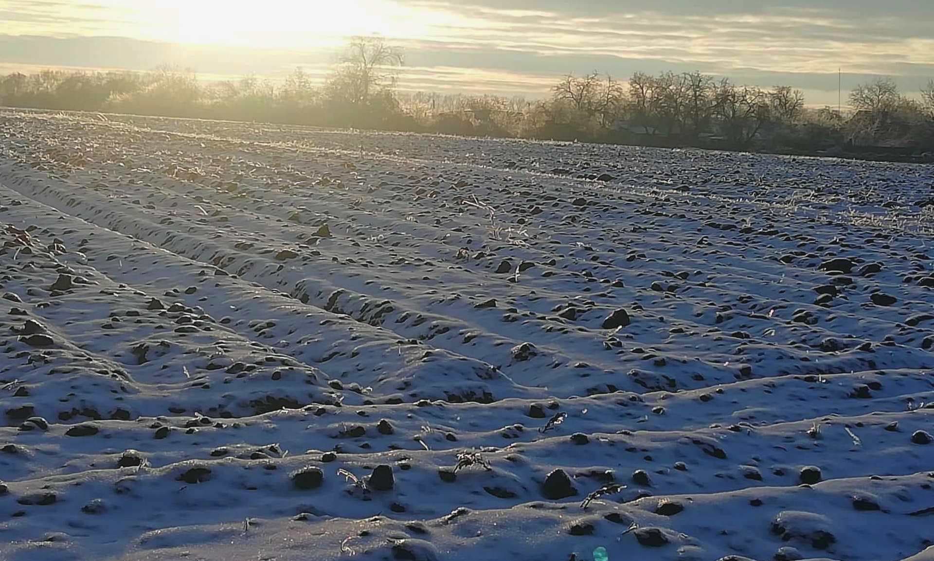 Фото Анни Аксюк